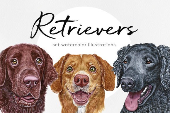Retriever Dogs. Watercolor Set 6 Dogs: A Practical Guide to High-Quality Digital Art