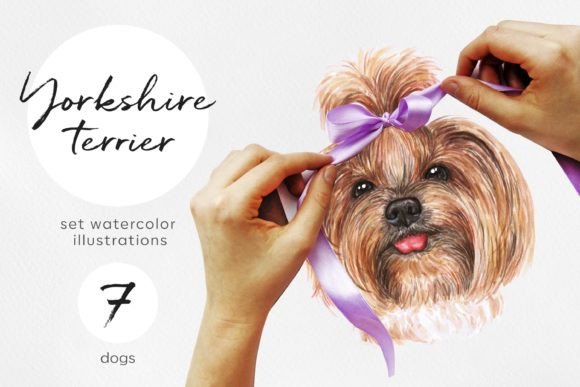 Yorkshire Terrier Watercolor 7 Dogs: A Creative Asset